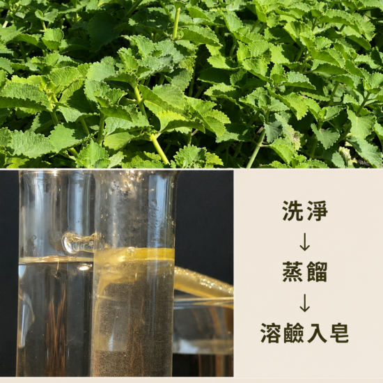 左手香手工皂怎麼做